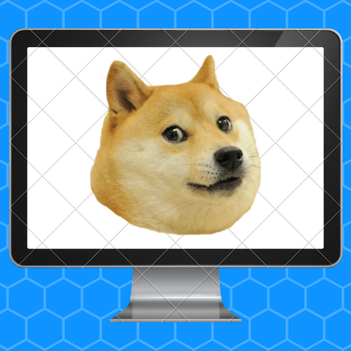 Website Design 5
