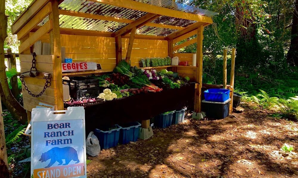 Bear Ranch Farm