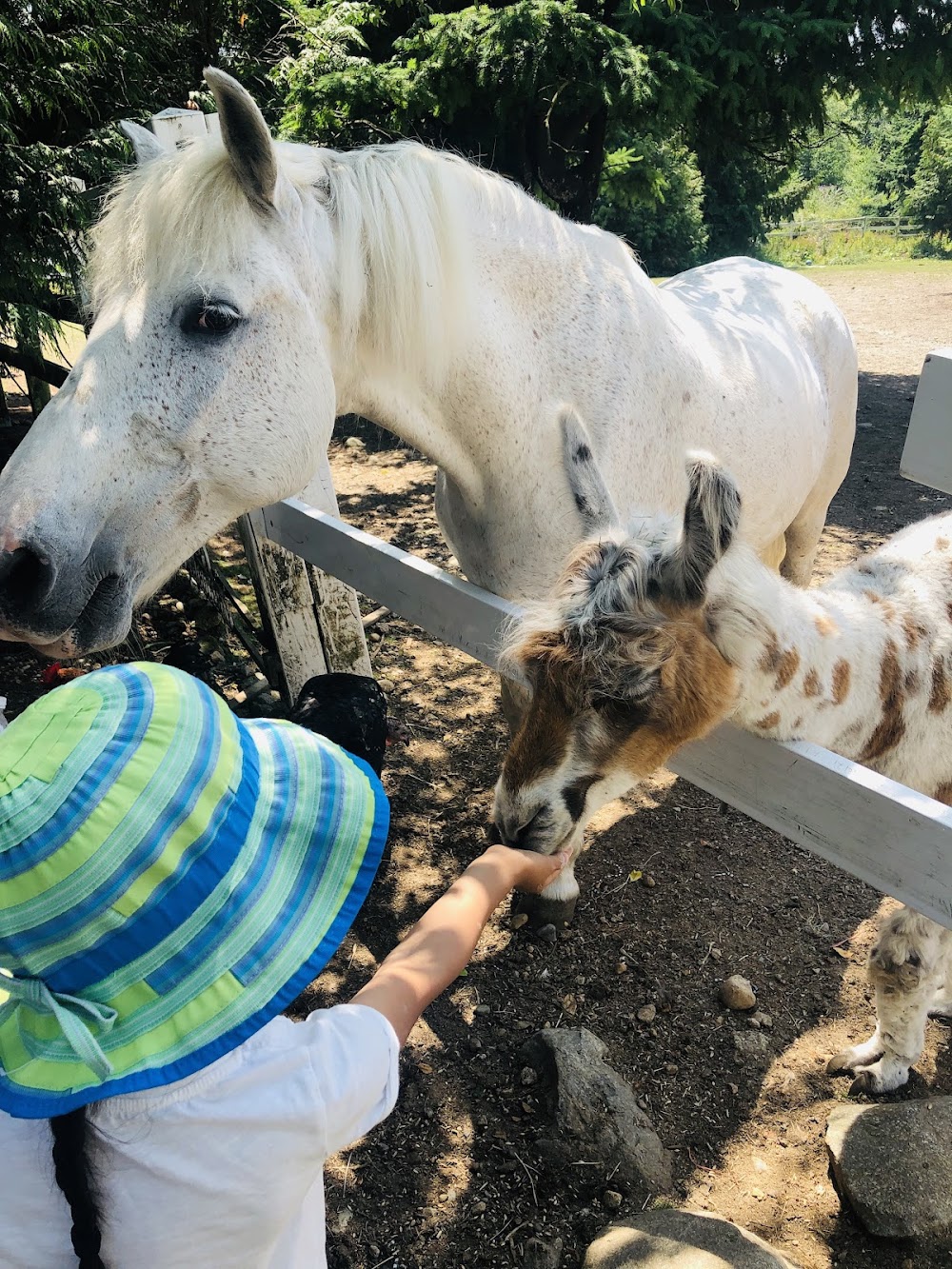 Farm Ventures