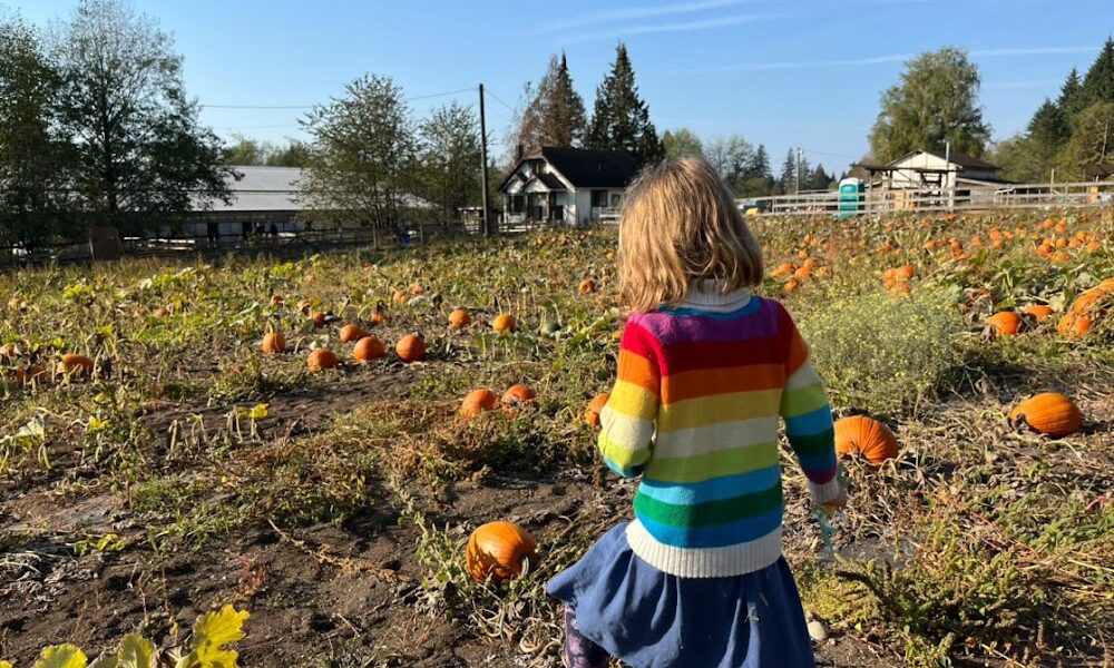 Shady Hazel Farm