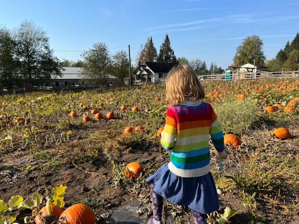 Shady Hazel Farm