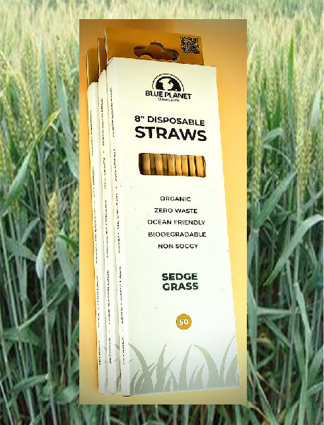 Shaffer Farm & Foods